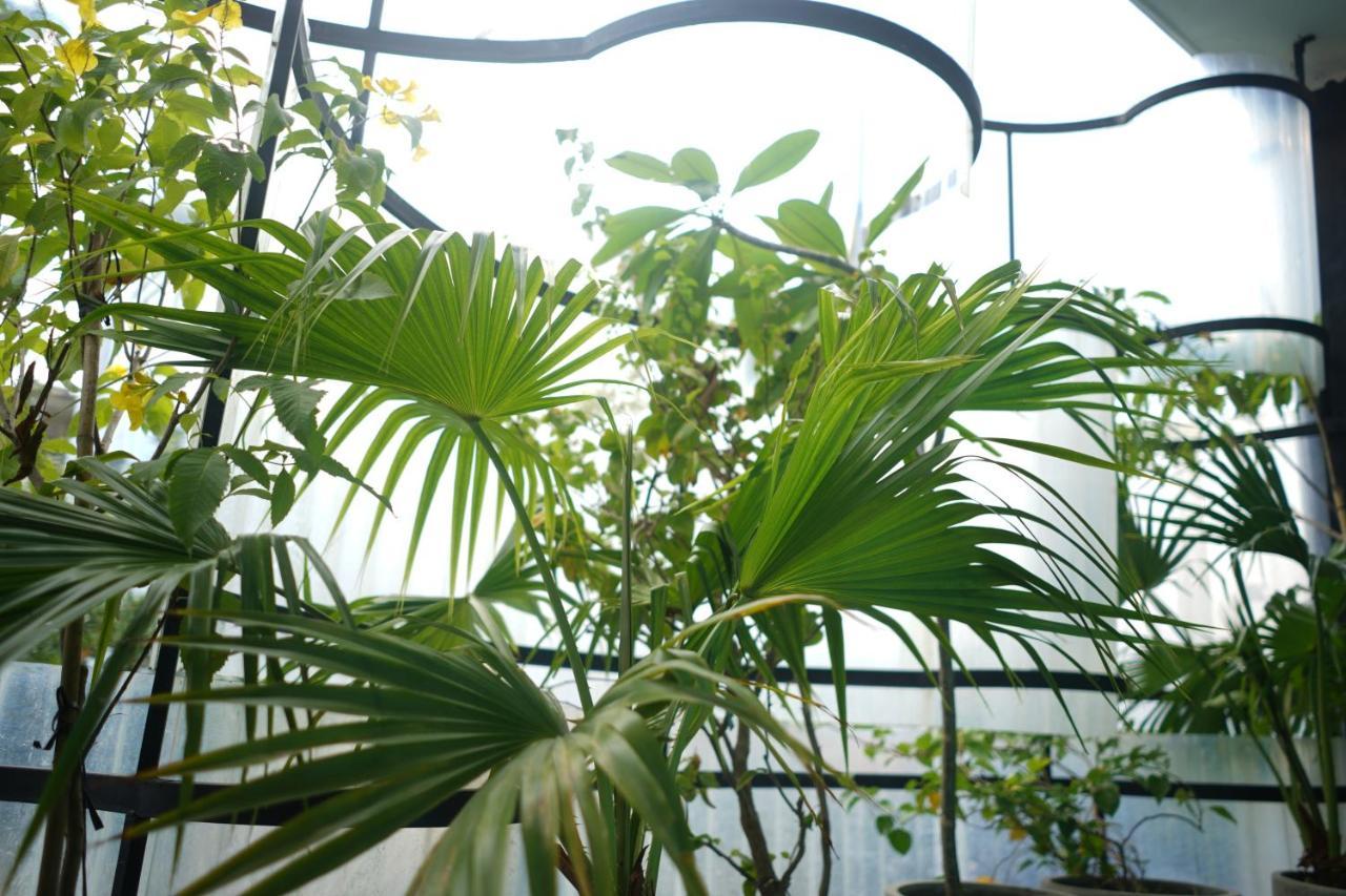 Khách Sạn và Căn Hộ The Garden Đà Nẵng Ngoại thất bức ảnh